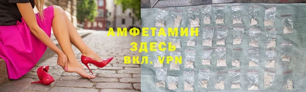 молекула духа Арсеньев