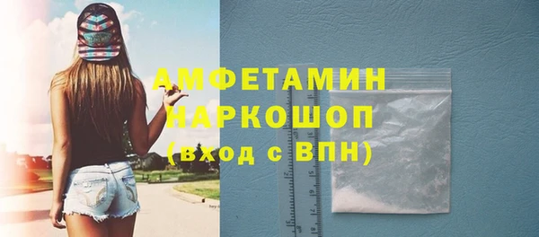 молекула духа Арсеньев