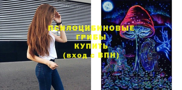 молекула духа Арсеньев