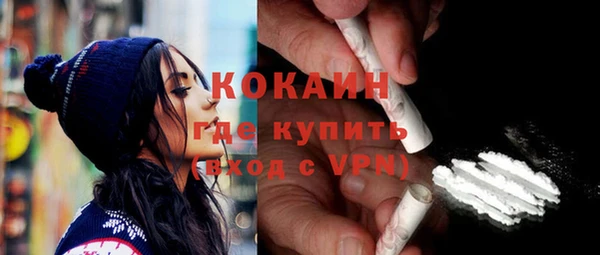 молекула духа Арсеньев