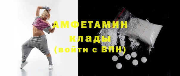 молекула духа Арсеньев