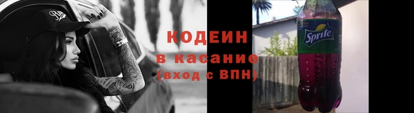 молекула духа Арсеньев