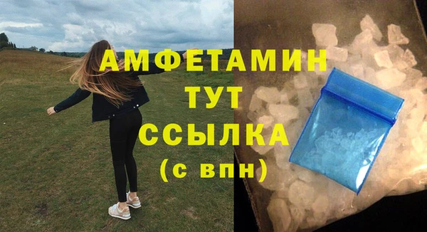молекула духа Арсеньев