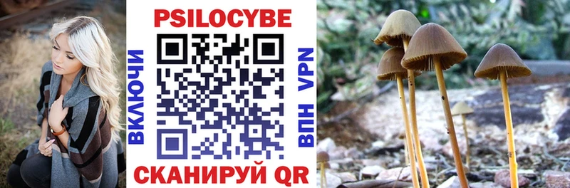 Купить где  Нижние Серги  Галлюциногенные грибы MAGIC MUSHROOMS 