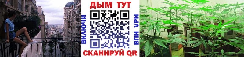 Шишки марихуана Amnesia  Купить где  Нижние Серги 
